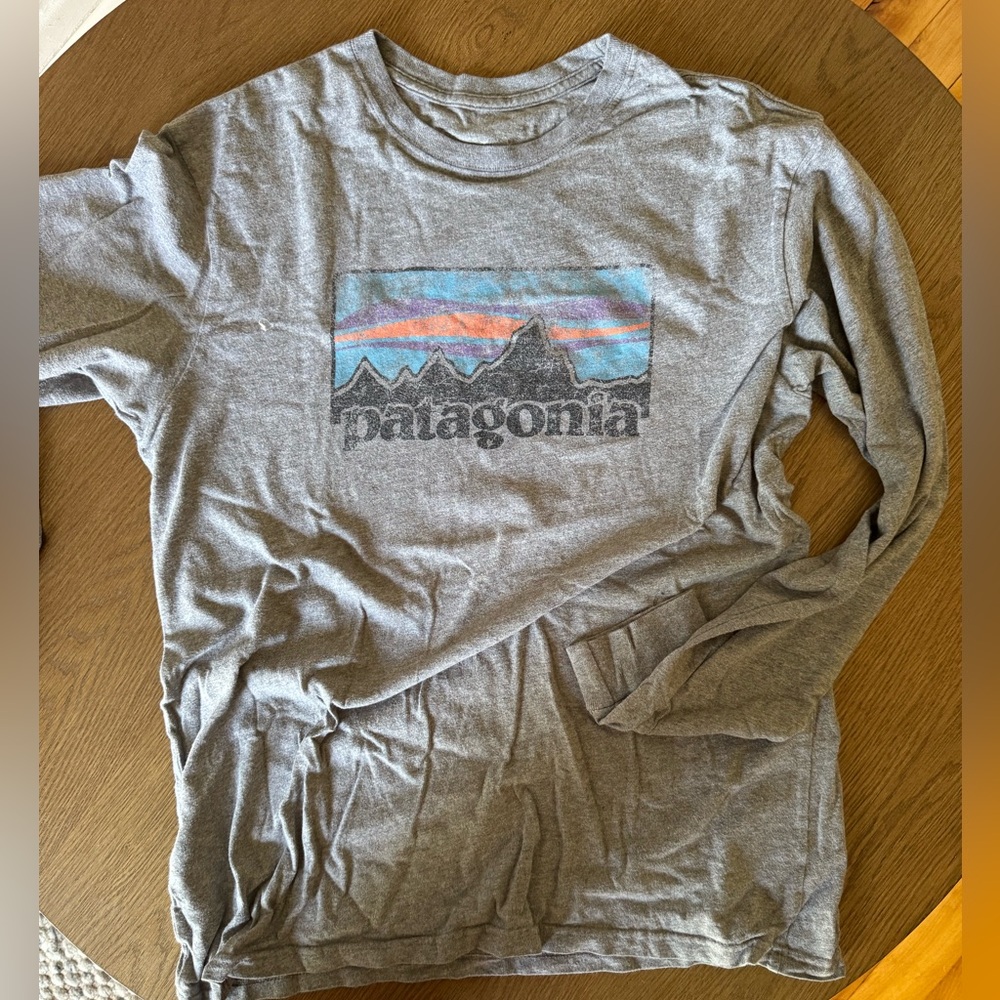 Patagonia Gray Long Sleeve with Mountain Graphic